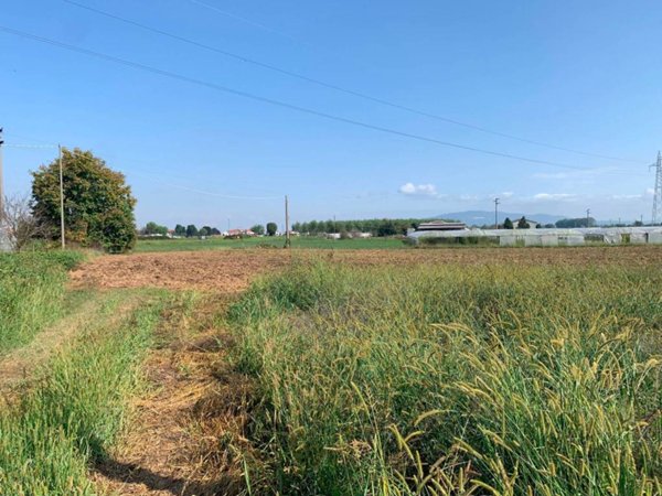 terreno agricolo in vendita a Vinovo