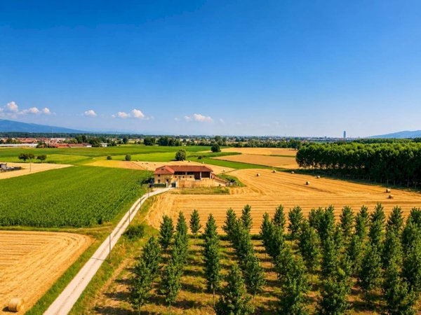casale in vendita a Vinovo