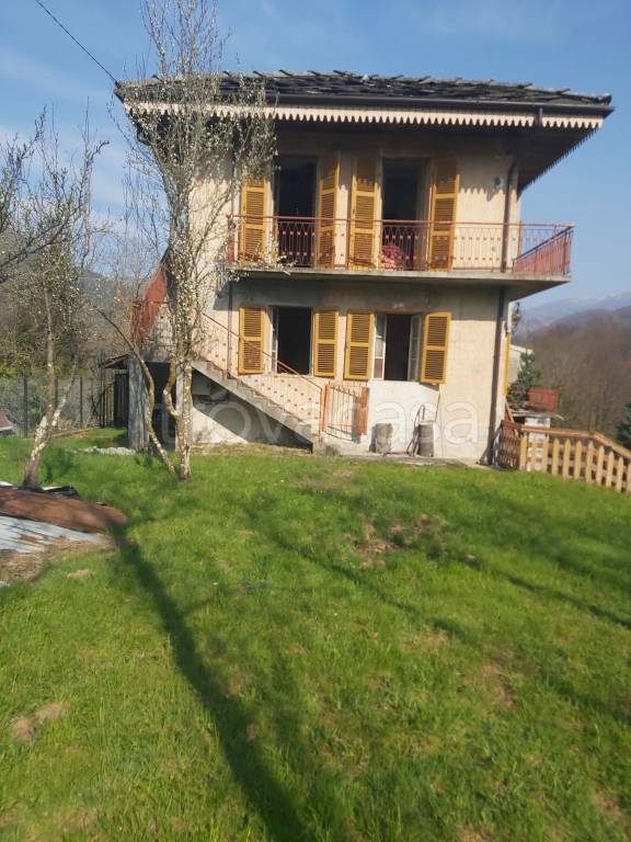 immagine annuncio 0 di 15