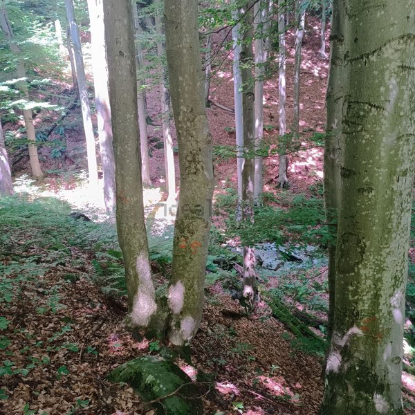 baita in vendita a Viù in zona Col San Giovanni