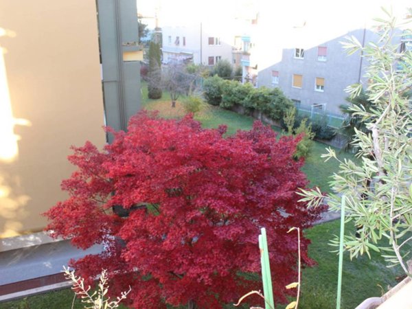 appartamento in vendita a Bolzano