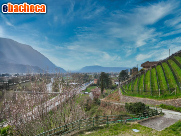 appartamento in vendita a Bolzano