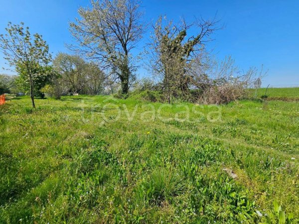 terreno agricolo in vendita a Volvera