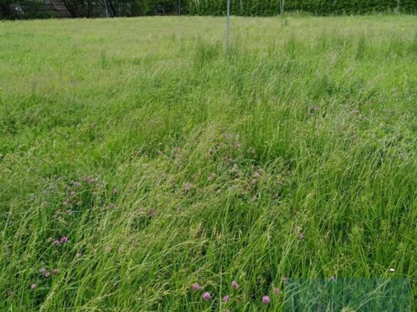 terreno agricolo in vendita a Naturno