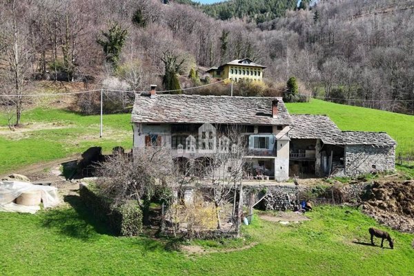 pentavano in vendita a Valchiusa in zona Vico Canavese