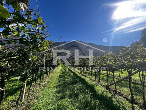 terreno agricolo in vendita ad Arco