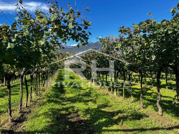 terreno agricolo in vendita ad Arco