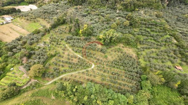 terreno agricolo in vendita ad Arco