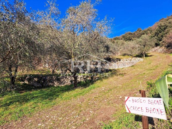 terreno agricolo in vendita ad Arco