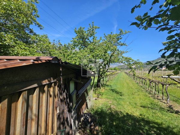 terreno agricolo in vendita ad Arco