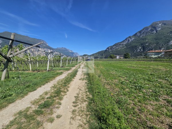 terreno agricolo in vendita ad Arco