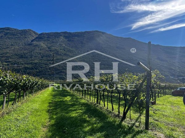terreno agricolo in vendita ad Arco