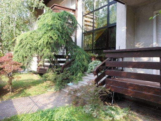 casa indipendente in vendita ad Avio in zona Sabbionara