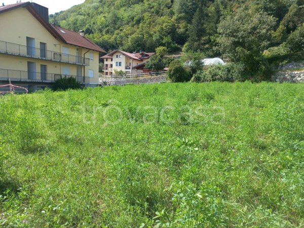 casa indipendente in vendita a Borgo Valsugana