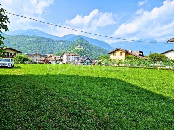 terreno agricolo in vendita a Borgo Valsugana