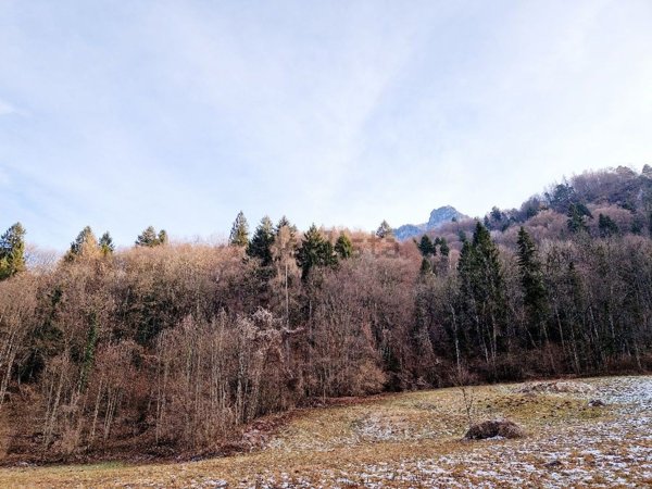 ufficio in vendita a Borgo Valsugana