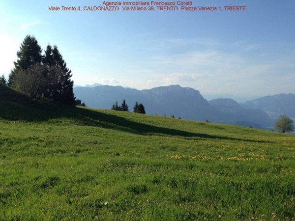 ufficio in vendita a Caldonazzo