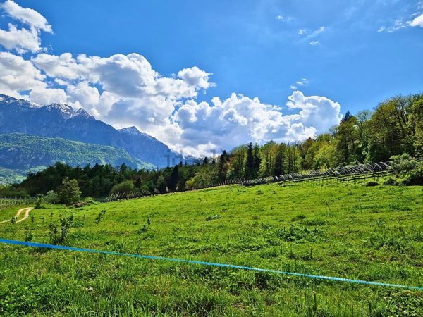 terreno agricolo in vendita a Carzano