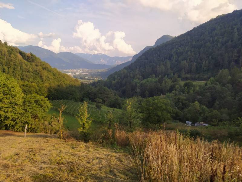 terreno agricolo in vendita a Civezzano in zona Magnago