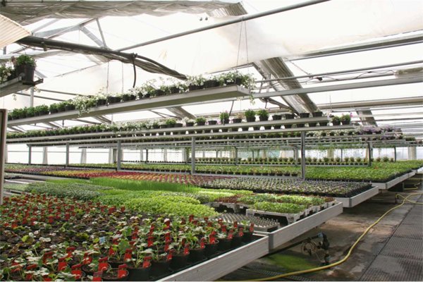 azienda agricola in vendita a Commezzadura