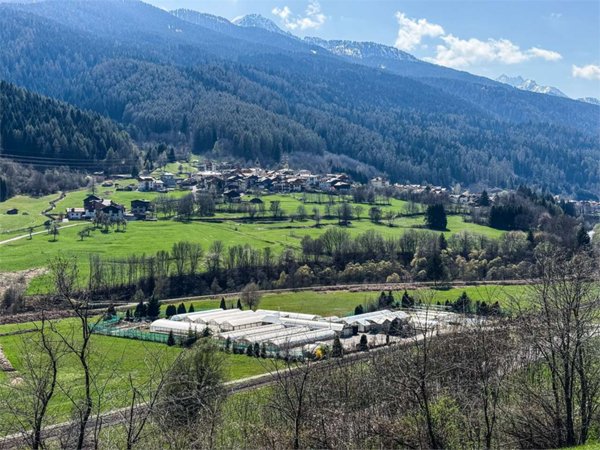 azienda agricola in vendita a Commezzadura