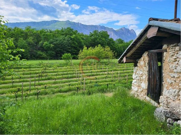 terreno agricolo in vendita a Drena