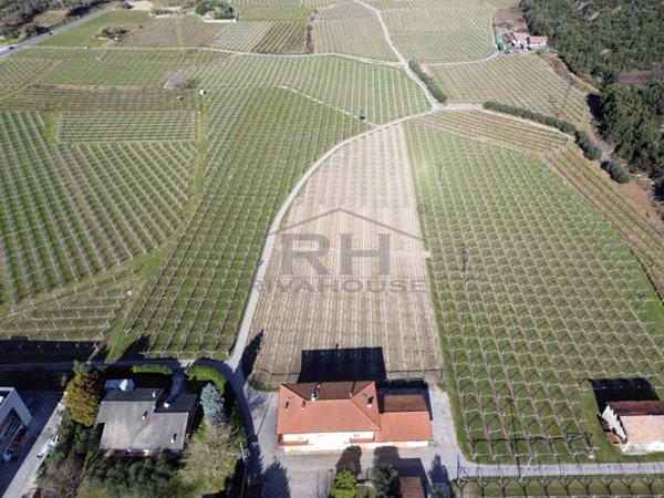 appartamento in vendita a Dro