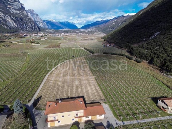 azienda agricola in vendita a Dro