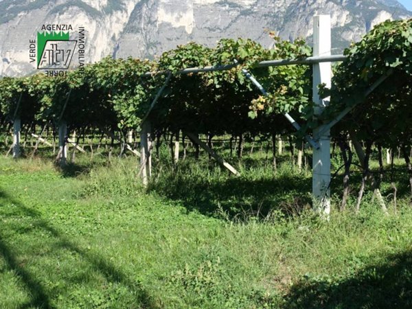 mansarda in vendita a Mezzocorona