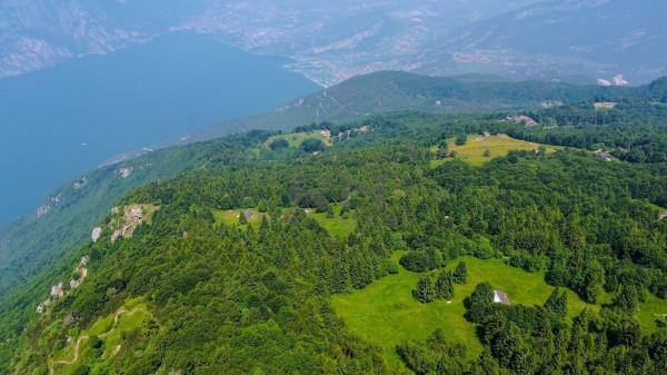 negozio in vendita a Nago-Torbole in zona Nago