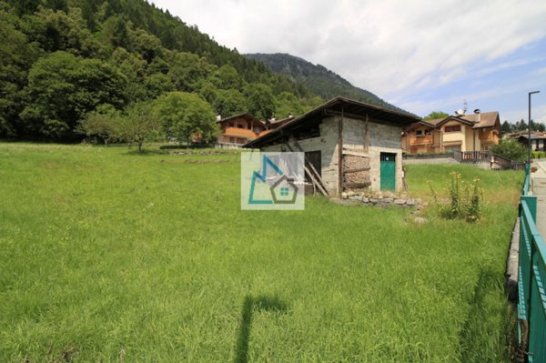 terreno edificabile in vendita a Pelugo