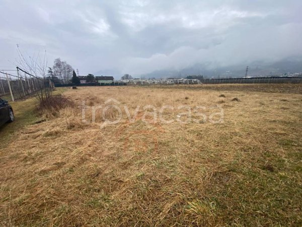 terreno agricolo in vendita a Pergine Valsugana