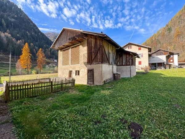 esavano in vendita a Rabbi in zona Pracorno