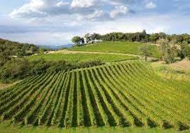 terreno agricolo in vendita a Rovereto in zona Marco