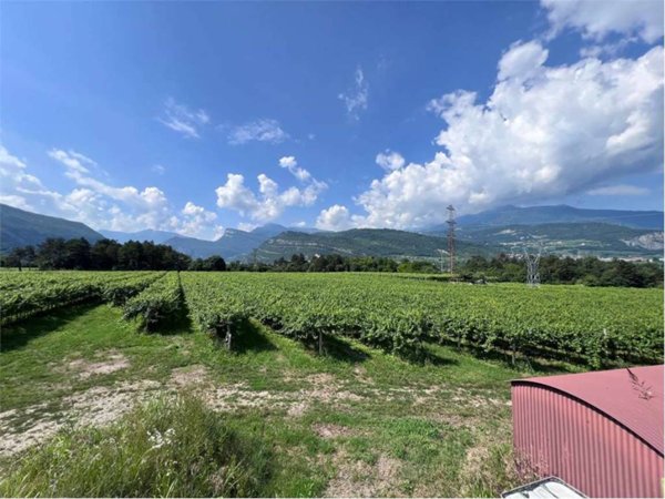 terreno agricolo in vendita a Rovereto