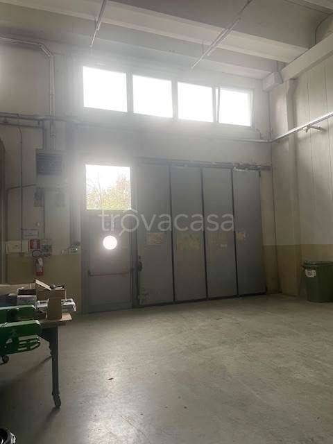 appartamento in vendita a Rovereto in zona Lizzana