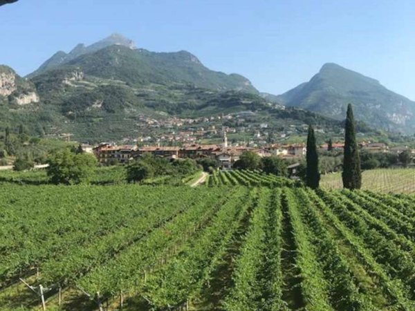 terreno agricolo in vendita a Rovereto in zona Lizzana