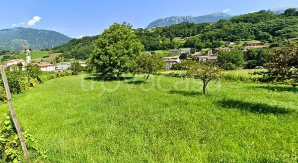 terreno agricolo in vendita a Scurelle