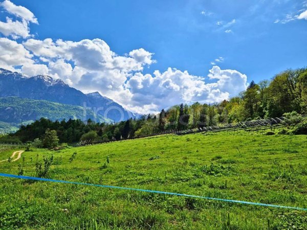 terreno agricolo in vendita a Scurelle