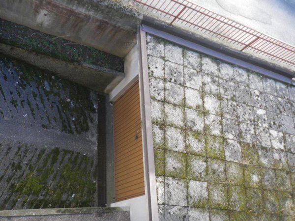 casa indipendente in vendita a Tione di Trento