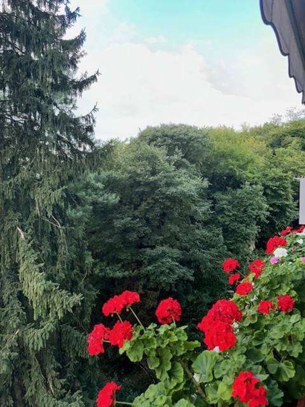 appartamento in vendita a Trento in zona Madonna Bianca