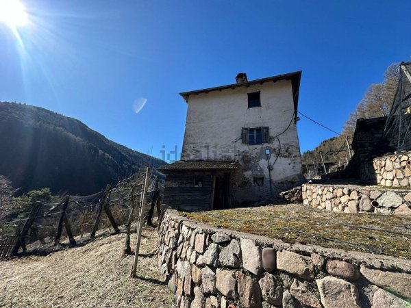 casa indipendente in vendita ad Altavalle in zona La Rio