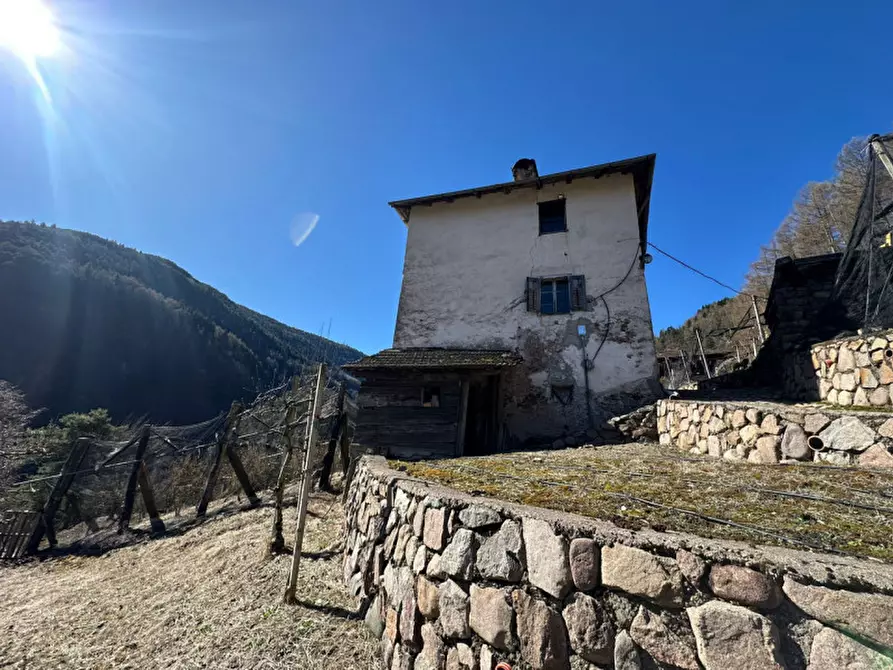 casa indipendente in vendita ad Altavalle in zona La Rio