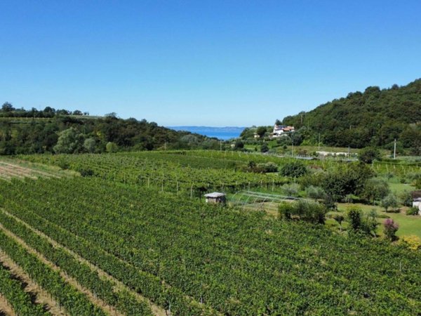 terreno agricolo in vendita ad Affi in zona Incaffi