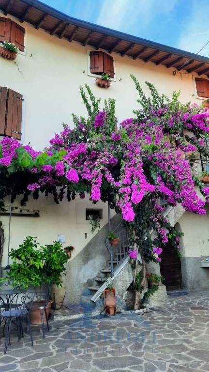 immagine annuncio 0 di 15