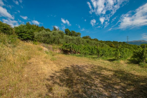 terreno agricolo in vendita ad Affi