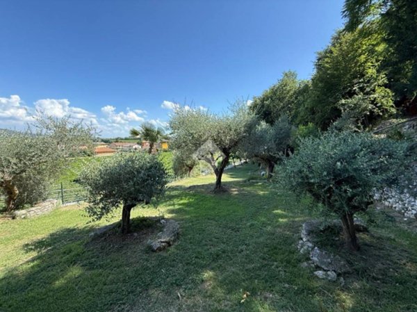 terreno agricolo in vendita ad Affi