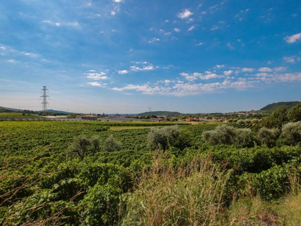 terreno agricolo in vendita ad Affi