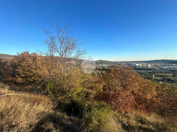 terreno agricolo in vendita ad Affi