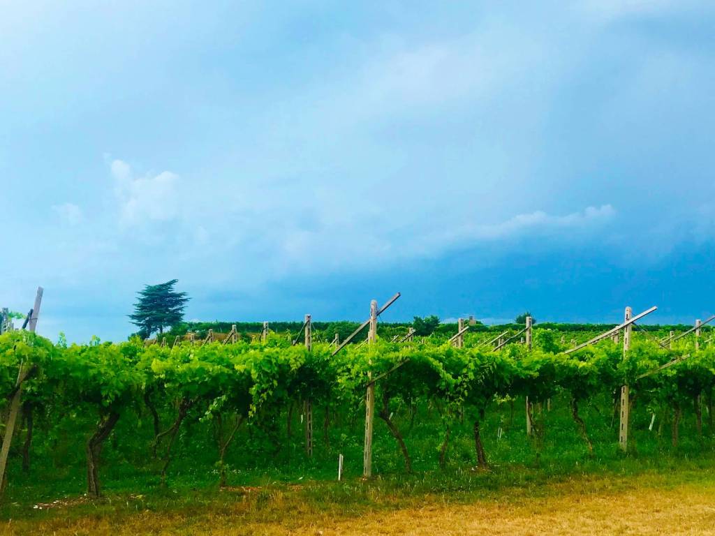 ufficio in vendita ad Affi